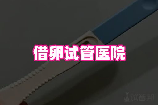 试管助孕网站 2