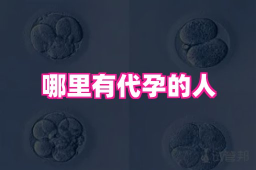 试管助孕网站 3